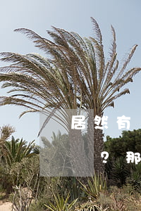 居然有筆遺產(chǎn)你不想繼承？那辦個“放棄繼承權(quán)聲明公證”好了！